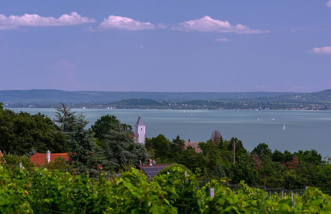 House With Panorama - Foto 19