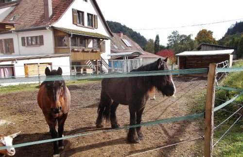Le Gîte des Chevaliers - Foto 6