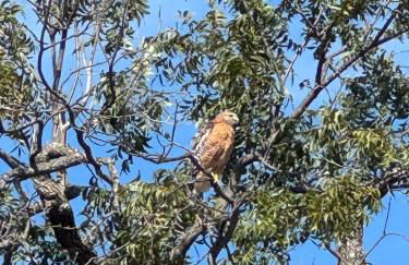 Waterfront Lake House on Lake LBJ - Foto 65