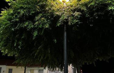 Casa Parque nacional Serra da capivara - Foto 12