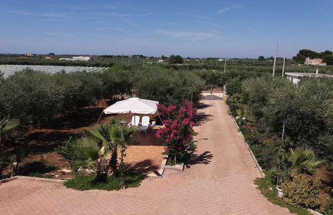 Villa Calendula - Foto 66