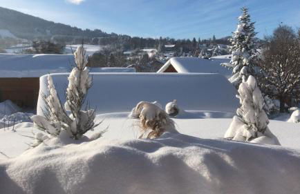 CaLegna Ferienchalet - Foto 7