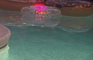 Luxury Villa - 75 inch smart TV, Upgrades throughout! 20 minutes to Disney - Foto 75