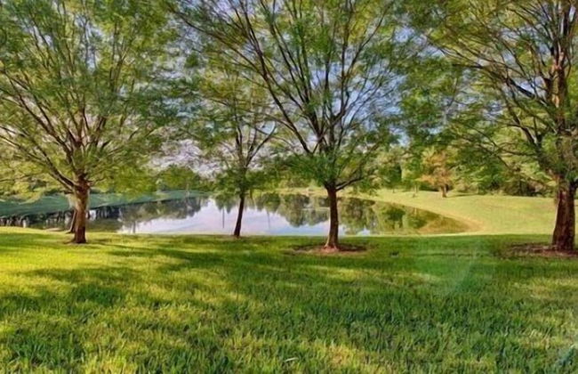 Emerald_island_8515n - Foto 16