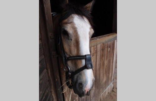 Upper Heath Farm - Stable Cottage Ludlow - Foto 8