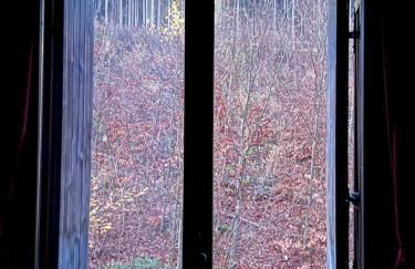 Mandi Mandi a Tarvisio - Foto 18