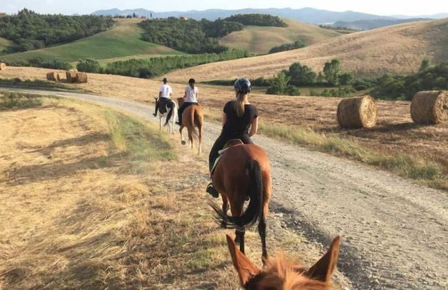 Agriturismo Podere Diacceroni - Foto 45