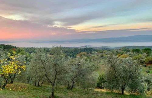 Vesper - Casale con piscina - Ad Galli Cantum - Photo 33