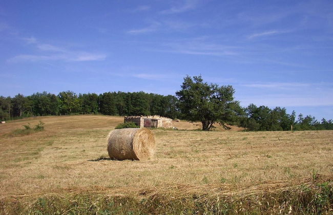Az Agrituristica Bio Le Macchie Alte - Foto 43