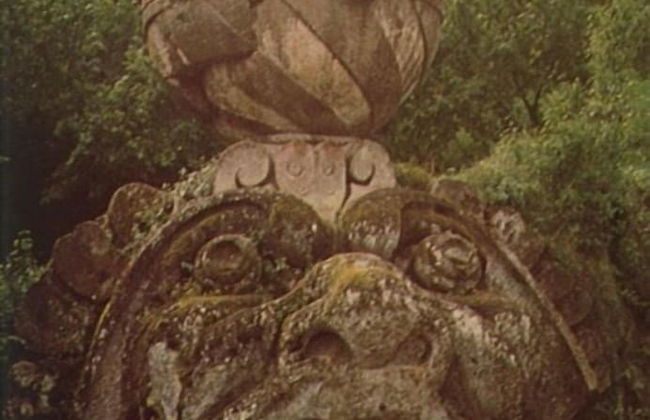 Podere Agrituristico Luchiano - Foto 65