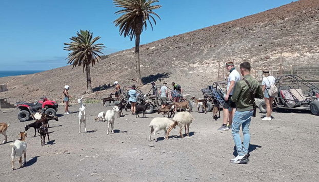 Tour in Pájara - Foto 4