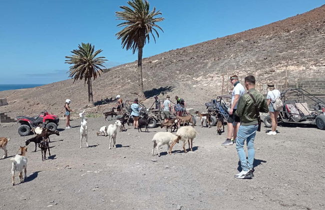 Tour in Pájara - Foto 4