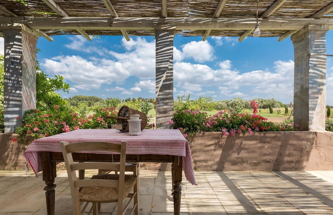 Le Cernicole - Foto 36