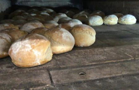 Ramsteinerhof - Foto 16