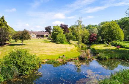 The Quackery - Foto 45