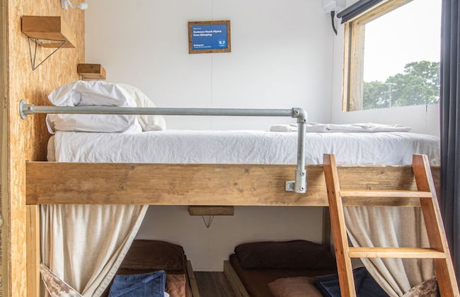 Dartmoor Reach Alpaca Farm - Foto 4