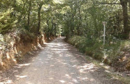 Casa Michelangelo - Foto 19