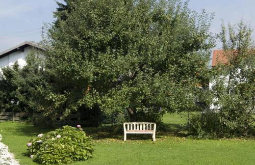 Gästehaus Gamsei - Bosch Hermann - Photo 9