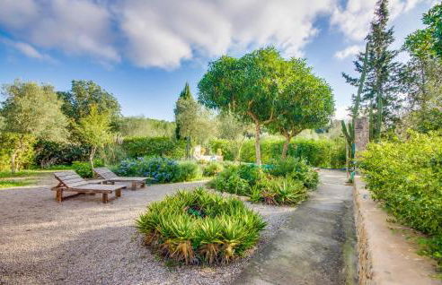 Higo Chumbo - Photo 16