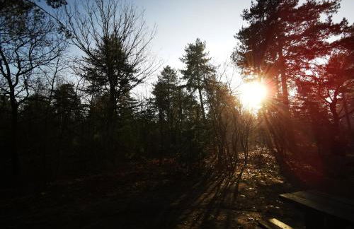 Heeser Hof - Urlaub im Grünen - Foto 50