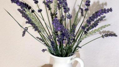 App. Weisses Haus - Foto 5