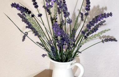 App. Weisses Haus - Foto 5