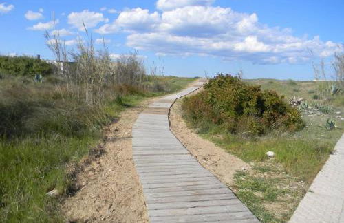 Oliva Nova Golf - Photo 32