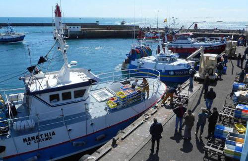 Maison spacieuse avec jardin à Plogoff - Foto 21