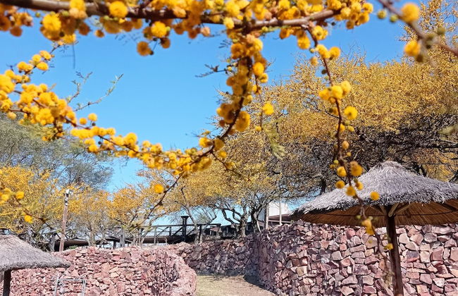 Apart Club San Pedro - Foto 39