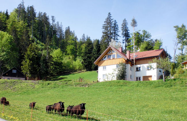 Mühlenmichelshäusle - Foto 15