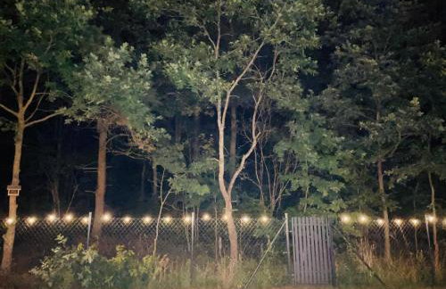 Palma de Masuria Ekskluzywny Dom na wyłączność - Foto 18