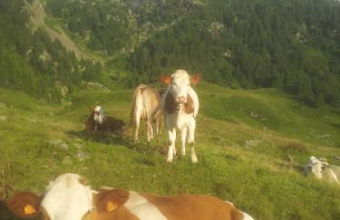 Agriturismo Stella Orobica - Foto 28