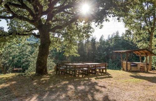 Abissinia, Gioiello nel Bosco - Foto 16