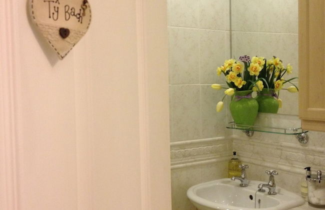 Snowdonia Snug - Foto 7