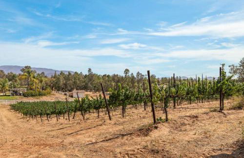 Villa Verdot by Avantstay Spectacular 6 BR Estate w/ Pool, Hot Tub, Tennis& B-ball Courts - Foto 19