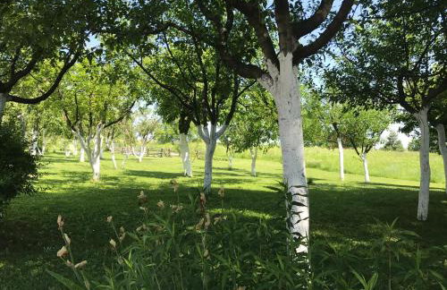 Lagom Apartments - Foto 97