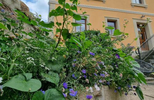 Ferienhaus Emma - Foto 21