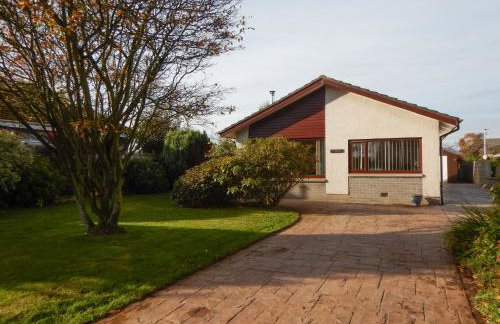 March Brown - Foto 2