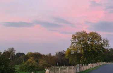 Ferienwohnung Niederrhein - Foto 32