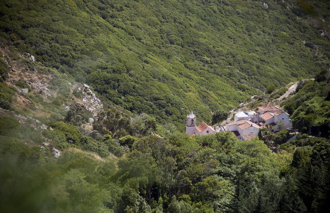 Convento de São Saturnino - Photo 28