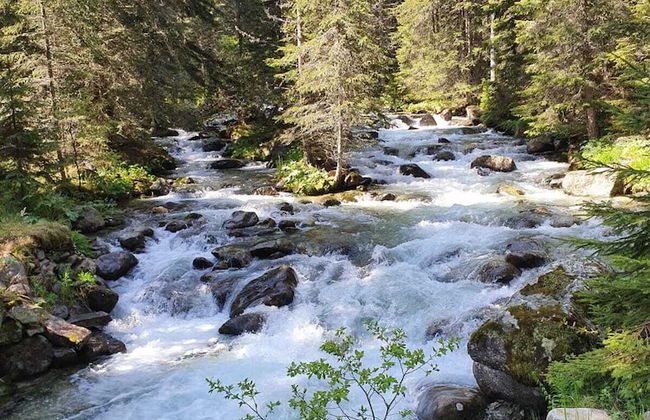 Apartment Belvedere 43 - Photo 30