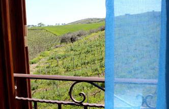 Agriturismo La Casa di Bacco - Foto 29