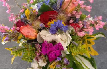 Wickys Igelnest - Foto 72