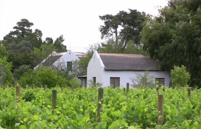 De Doornkraal Vinotel - Foto 27