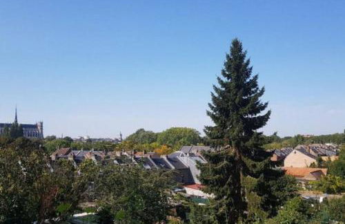 Maison Famille-Confort-Terrasse Jardin-Vue Cathédrale - Foto 32