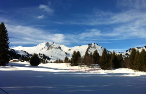 Terrasses Du Mont Blanc - Foto 4