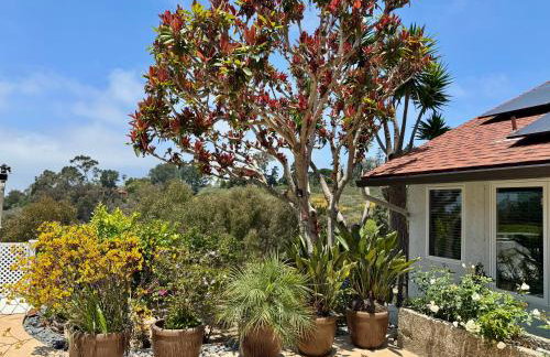 Ocean Breeze Haven Sunset & Pool La Jolla - Foto 44