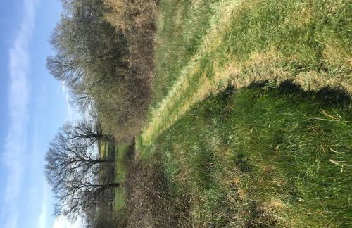 Holiday Home in Le Châtelet with Pool - Foto 42