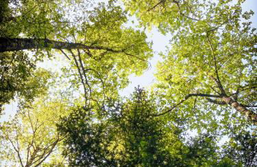 Eremo Montemezzano - Foto 24