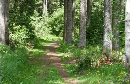 Fewo Furtwangen - Photo 27